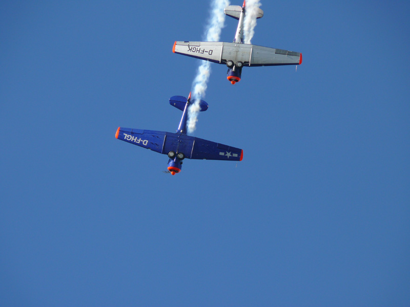 Formationsflug_Eichhorn