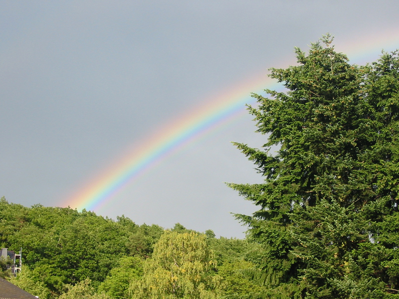 Regenbogen2