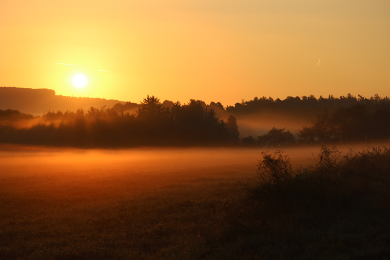 03_Morgenstimmung_Obernhain