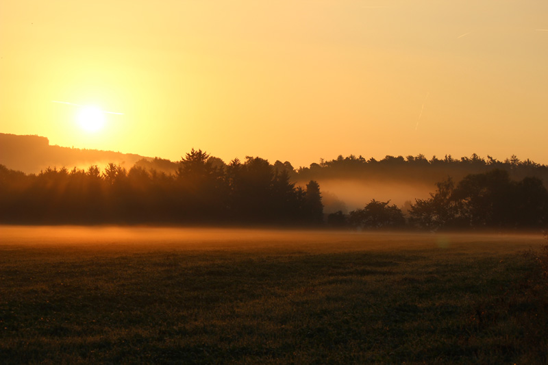 Morgenstimmung_im_Feld