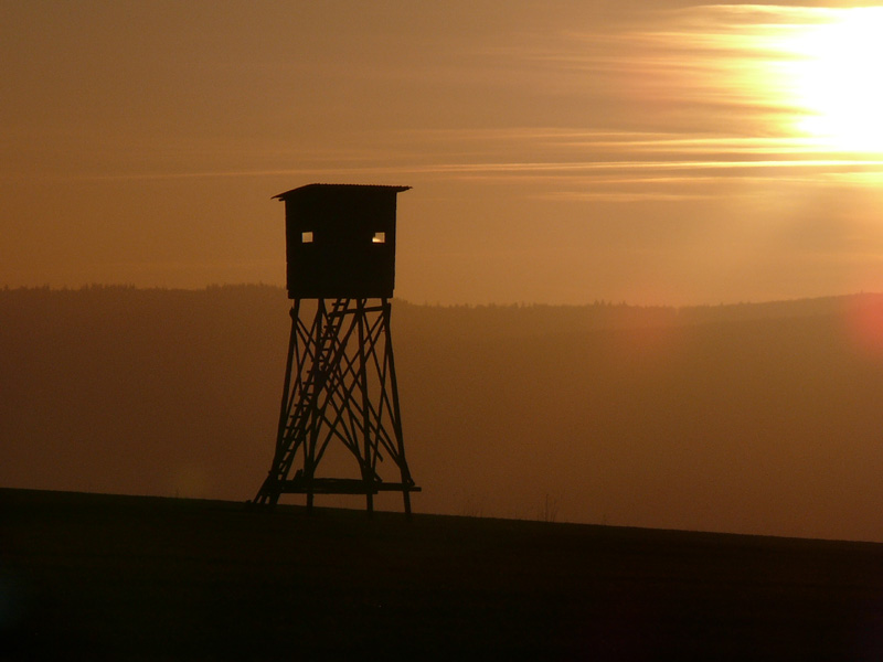 Sonnenuntergang_Hochsitz_P1160291