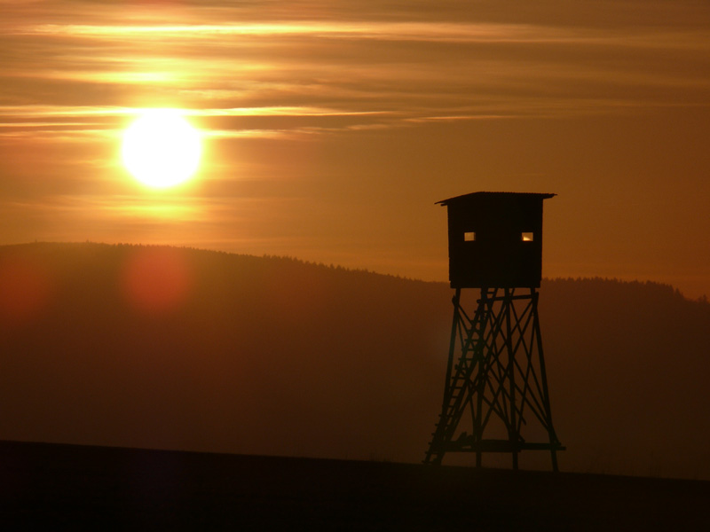 Sonnenuntergang_Hochsitz_P1160308