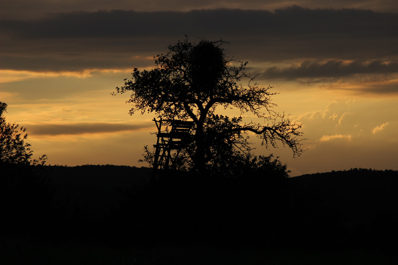 Sonnenuntergang_IMG_7853