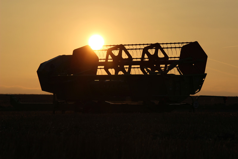 Sonnenuntergang_Maehdrescher_IMG_6754