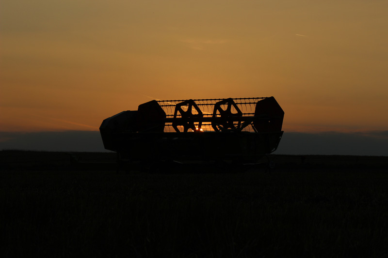 Sonnenuntergang_Maehdrescher_IMG_6770