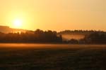 Morgenstimmung_im_Feld