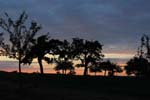 Sonnenuntergang_Baeume_IMG_7966