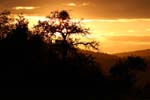Sonnenuntergang_Baum_Hochsitz_IMG_7875