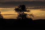 Sonnenuntergang_IMG_7853