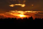 Sonnenuntergang_Wald_IMG_6825