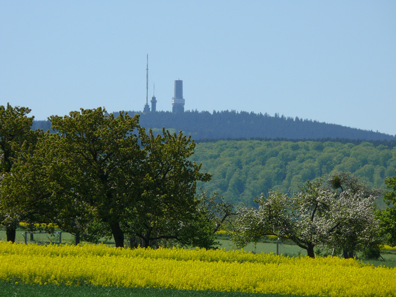 Feldberg_mit_Rapsbluete