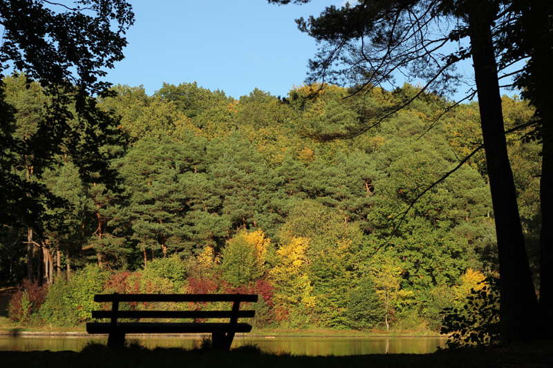 Gruenwiesenweiher_im_Herbst