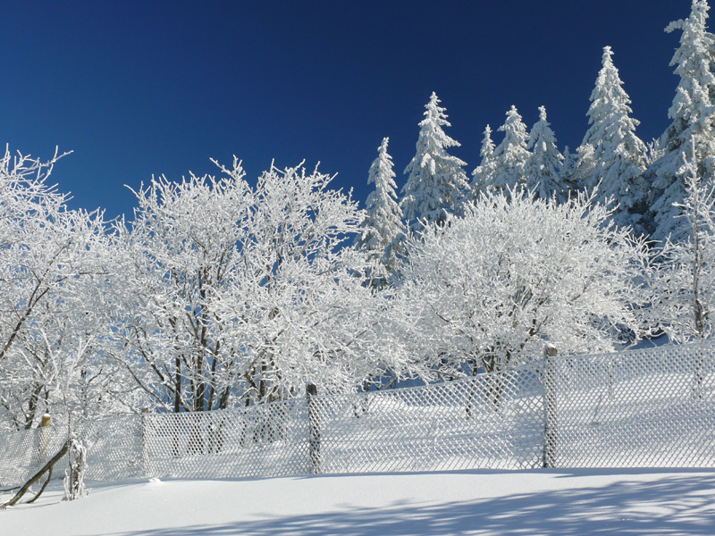 01_Winterlandschaft_kleiner_Feldberg