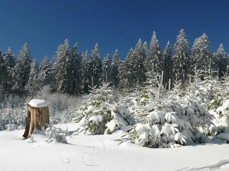 02_Winterlandschaft_Taunus