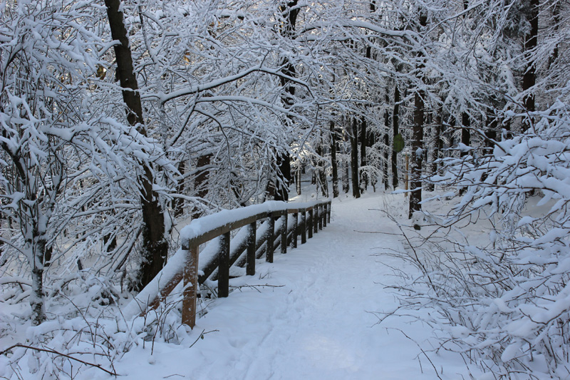 Weg_Weiltalquelle_Taunus_Winter