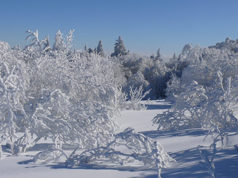 Weisser_Feldberg
