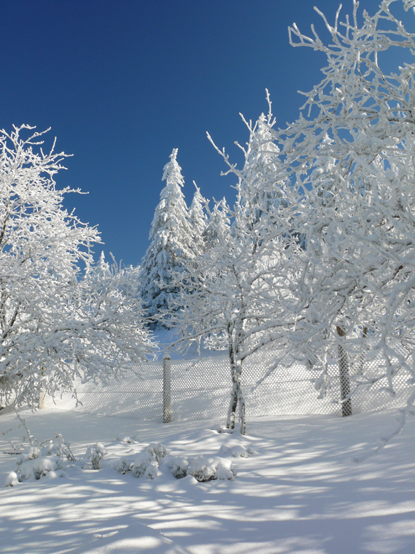Winterlandschaft_an_der_Sternwarte