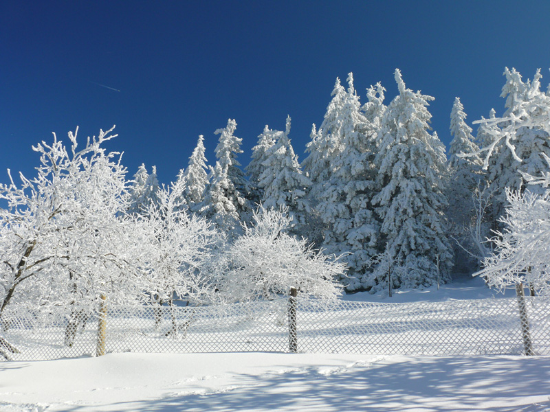 Winterzauber