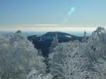 Altkoenig_vom_Feldberg_aus_gesehen