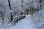 Weg_Weiltalquelle_Taunus_Winter