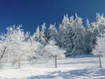 Winterzauber