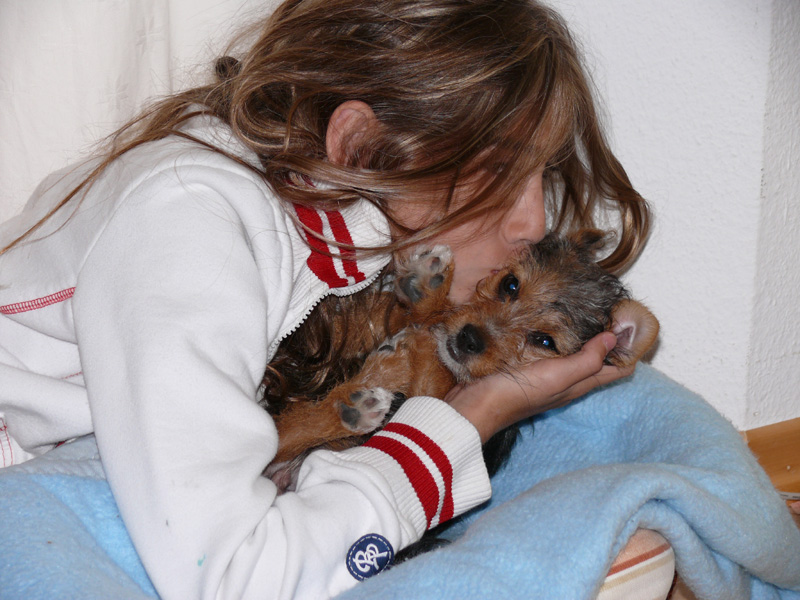 Maedchen_kuesst_Hund_Terrier_KM04