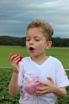 Junge_Erdbeerfeld_5220