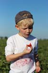 Junge_Erdbeerfeld_5269
