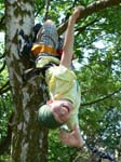 Kind_klettert_im_Baum_KM2