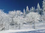 1_Winterlandschaft_kleiner_Feldberg