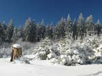 2_Winterlandschaft_Taunus