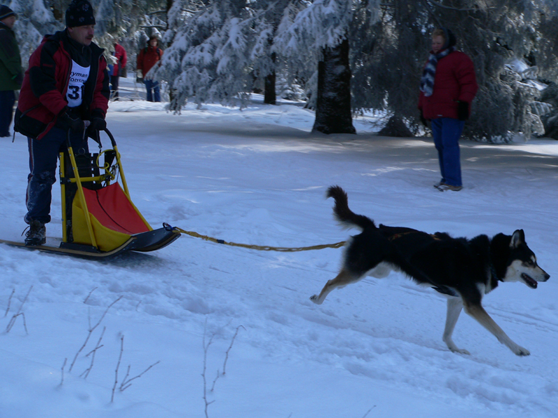 Schlittenhunderennen_Feldberg_02
