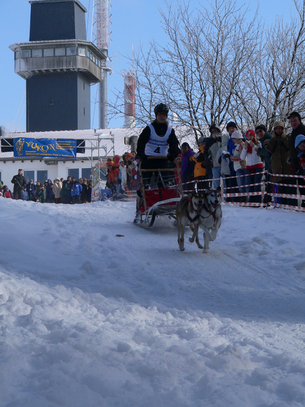 Schlittenhunderennen_Feldberg_09