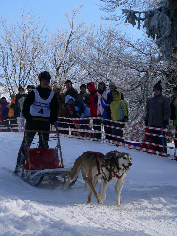 Schlittenhunderennen_Feldberg_10