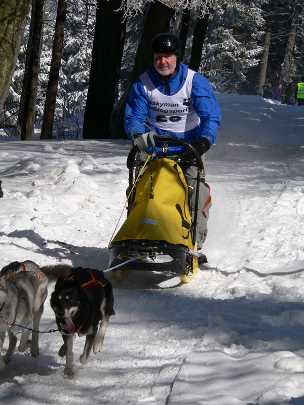 Schlittenhunderennen_Feldberg_11
