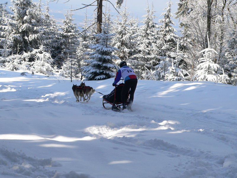 Sieger_HuskymanCup_2005_2006