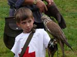 03_Hilfsfalkner