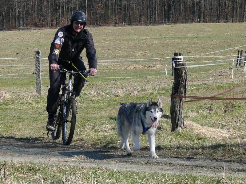 17_Fahrrad_mit_Hundeantrieb