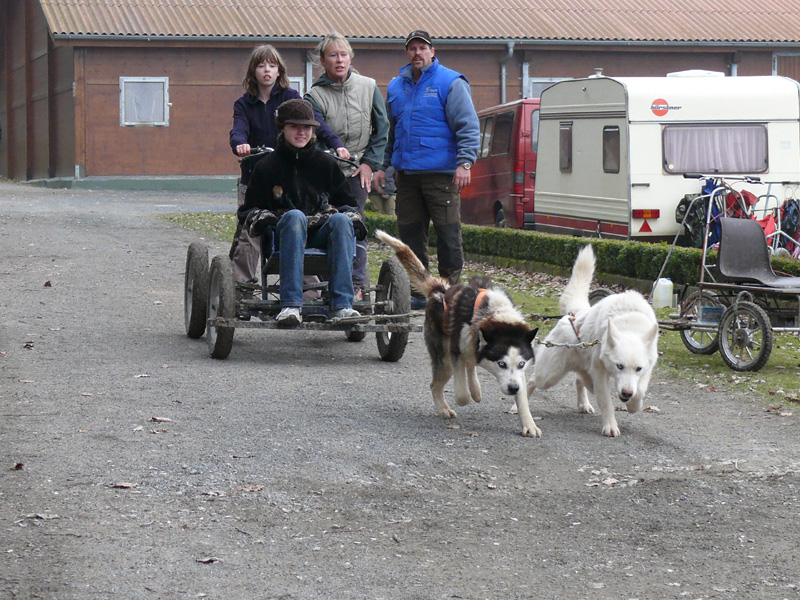 18_Unterwegs_mit_zwei_Hundestaerken