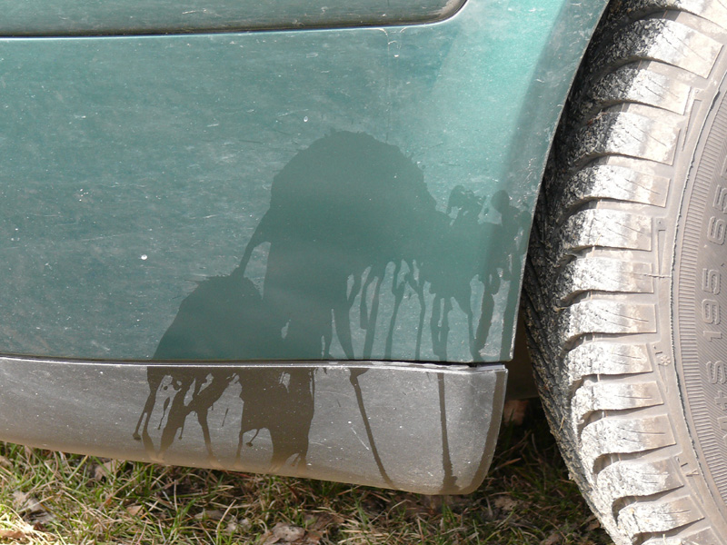 24_Ich_komme_nicht_mehr_mit_dem_Auto