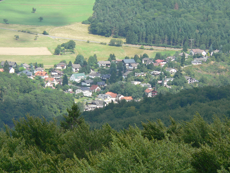 Altweilnau_2