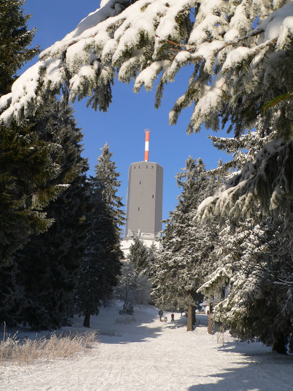 Feldbergturm_und_Siegfriedschuss_Rodelpiste