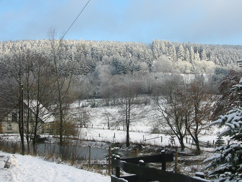 Haus_und_See_im_Schnee